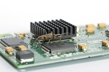 Computer Bug