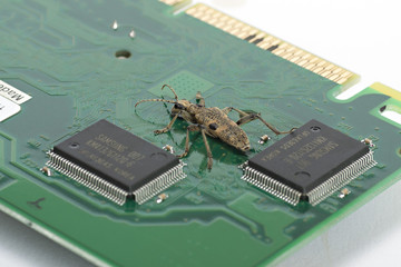 Computer Bug