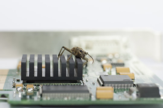 Computer Bug