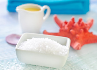 sea salt and shells