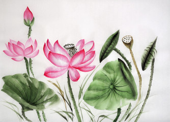 Watercolor painting of pink lotus