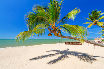 Obraz na płótnie Canvas Tropical palm tree on the beach of Koh Kho Khao island, Thailand