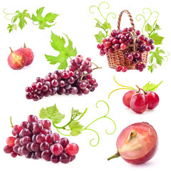 Collection of red grapes Isolated on white background
