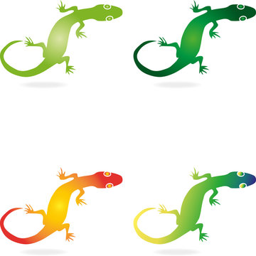 Logo, Echse, Salamander, Geko, Tier