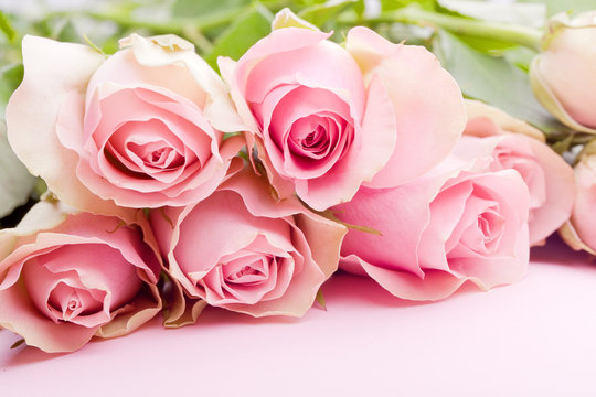 romantic bouquet of pink roses