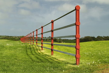 Fototapeta na wymiar Metallic fence on green grass