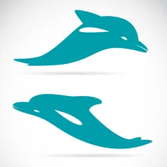 Afwasbaar Fotobehang Dolfijnen Vector afbeelding van een dolfijn op witte achtergrond