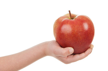 red apple in child hand © soleg