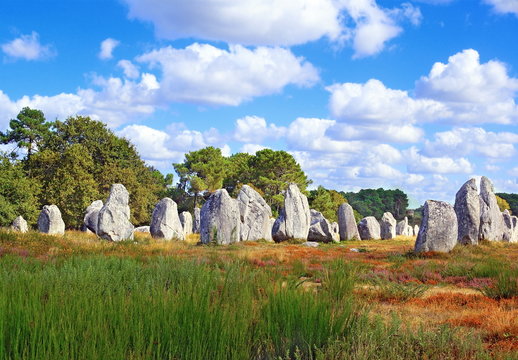 Menhirs de Kermario
