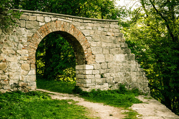 Fototapeta na wymiar An ancient arch in the forest