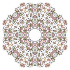 Round floral ornamental frame, vector illustration