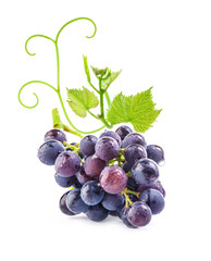 Ripe dark grapes with leaves on white background