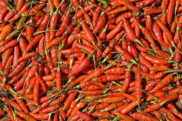 Background of closeup red hot peppers