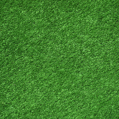 Fototapeta premium Grass field