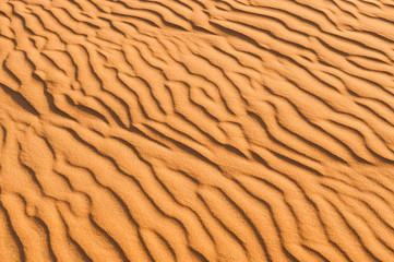 Sand Texture