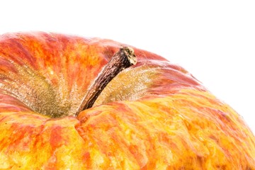 close up photo of an old wrinkled apple