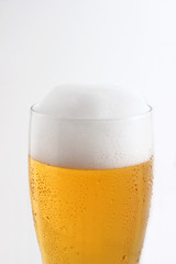 生ビール