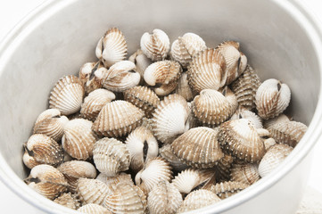 roughly fresh cockles