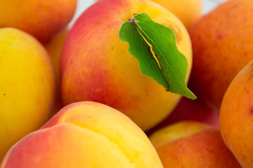 Fresh natural apricot in a row to background