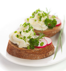 spring appetizer with cream cheese, radish and chives