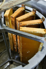 telai smielatore verticale