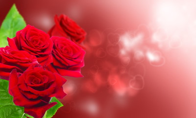 Obraz na płótnie Canvas Bouquet of red roses.