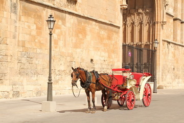 Fototapeta na wymiar Horse Carriage in Majorca