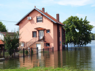 flood - 53356844