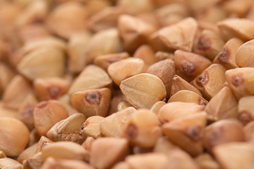 background from buckwheat groats. macro