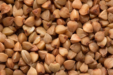 background from buckwheat groats. macro