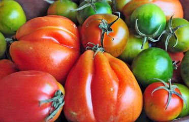 Pomodori cuore di bue e sardi