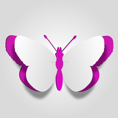 Conceptual pink paper butterfly on white background