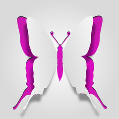 Conceptual pink paper butterfly on white background