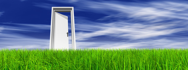 Conceptual door on grass over sky