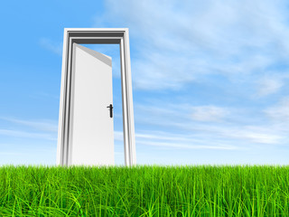 Conceptual door on grass over sky