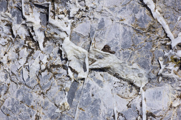 texture - pietra