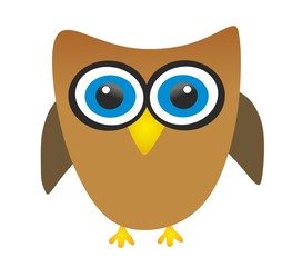 owl