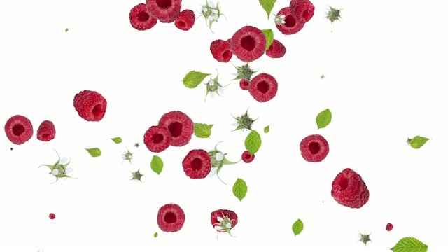 Raspberries falling down and forming a heart on white background