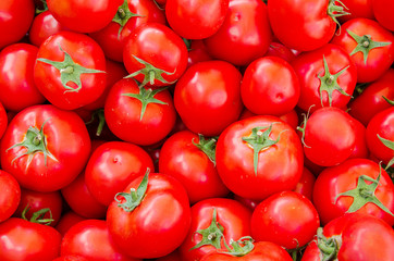 Fresh red organic tomatoes from the market
