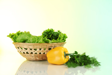 Useful herbs on light background