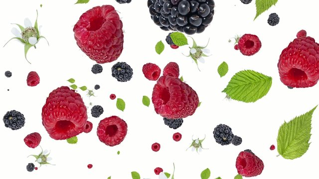 Raspberries and Blackberries falling down on white