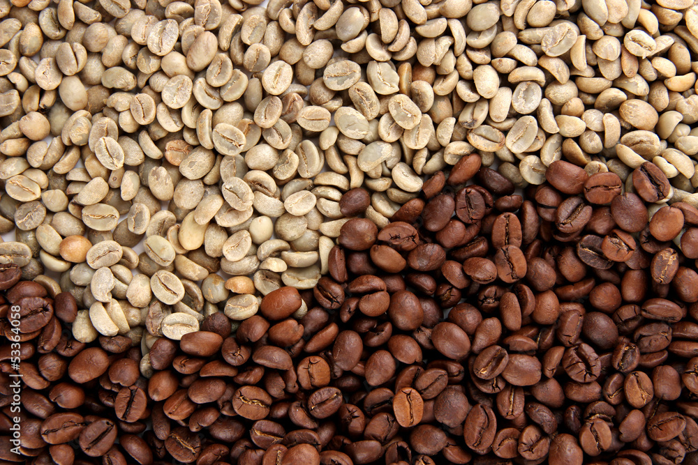 Poster Green and brown coffee beans, close up