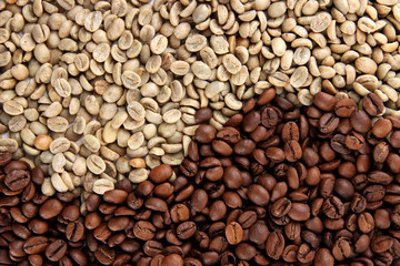 Green and brown coffee beans, close up