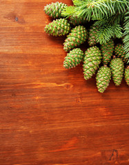 Fototapeta premium Green cones and fir tree on wooden background