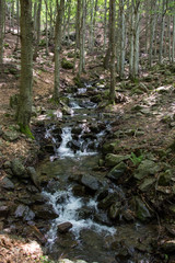 Rio Piano