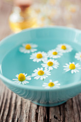 kamillenblüten in einer schale