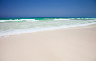 beach background