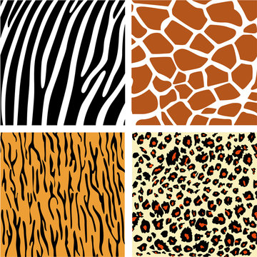 A collection of four different animal print backgrounds