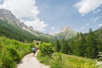 Fototapeta na wymiar A Mountain Trail