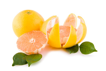 Red grapefruits with leafs